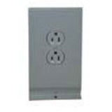 Receptacle/Plate, 120V, Wht By TPI 3900REC