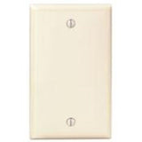 Blank Wallplate, 1-Gang, Nylon, Ivory, Standard, Box Mount By Leviton 80714-I