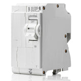 50A 2P Standard Thermal Magnetic Branch Circuit Breaker By Leviton Load Centers LB250-T