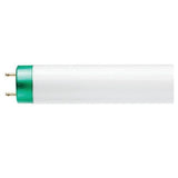 Fluorescent Lamp, T8, 36