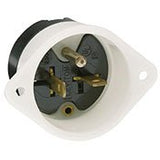 3 Wire Plug. By Leviton 5829